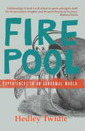 FIREPOOL (Experiences in an abnormal world) (Hedley Twidle)