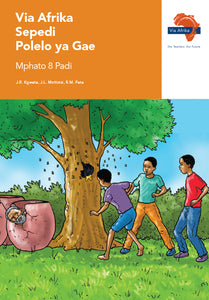 Via Afrika Sepedi Home Language Grade 8 Reader
Dinonwane, Dikanegelokopana, Theto, Papadi (Printed book.)