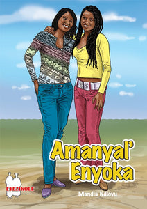 Amanyal'enyoka FAL School Edition