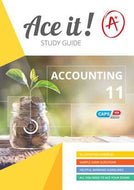 ACE IT! ACCOUNTING Gr 11