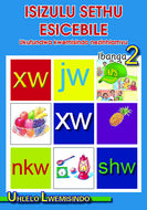 ISIZULU SETHU (PHONIC PROGRAMME) GR 2 PROG. GUIDE