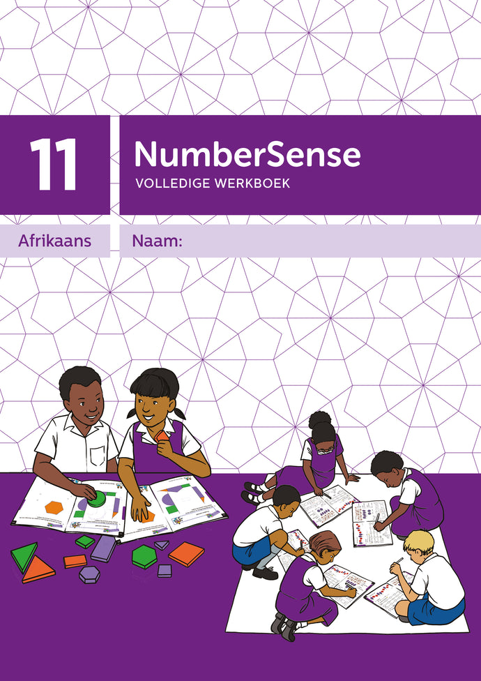NumberSense Comprehensive Werkboek 11 (Afr)