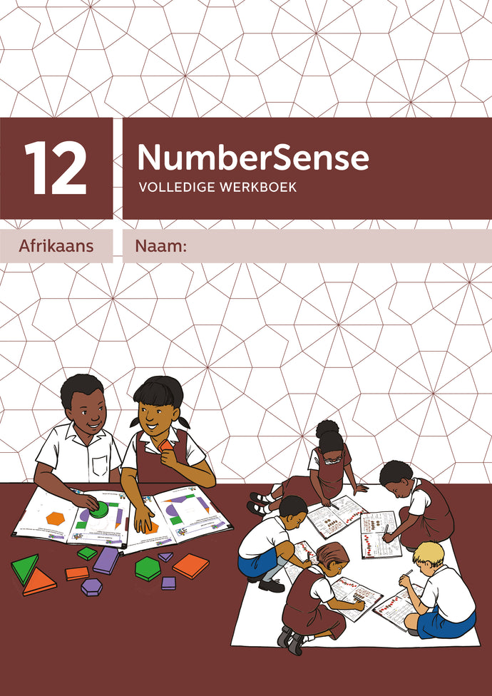 NumberSense Comprehensive Werkboek 12 (Afr)