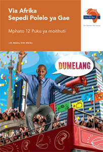 Via Afrika Sepedi Home Language Grade 12 Learner's Book (Printed