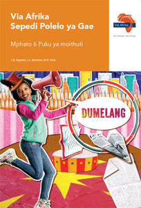 Via Afrika Sepedi Home Language Grade 6 Learner's Book (Printed book.)